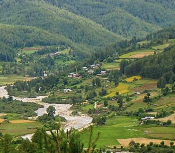 Excursion to Tang valley